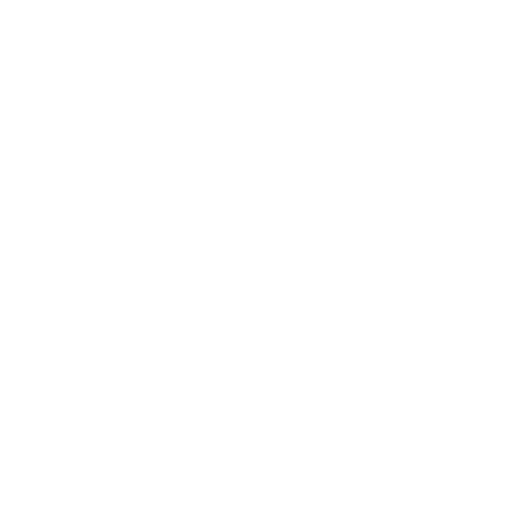Codex