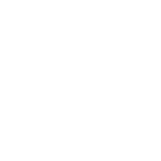 Bruno
