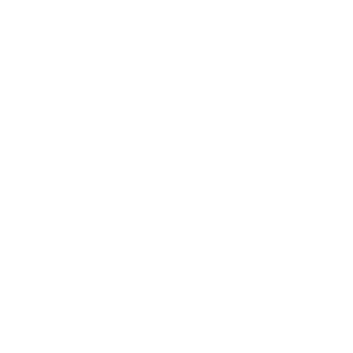 Fly.io