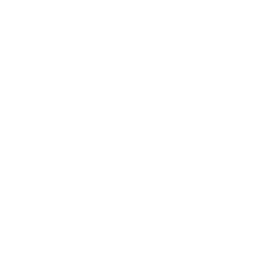 Anthropic API